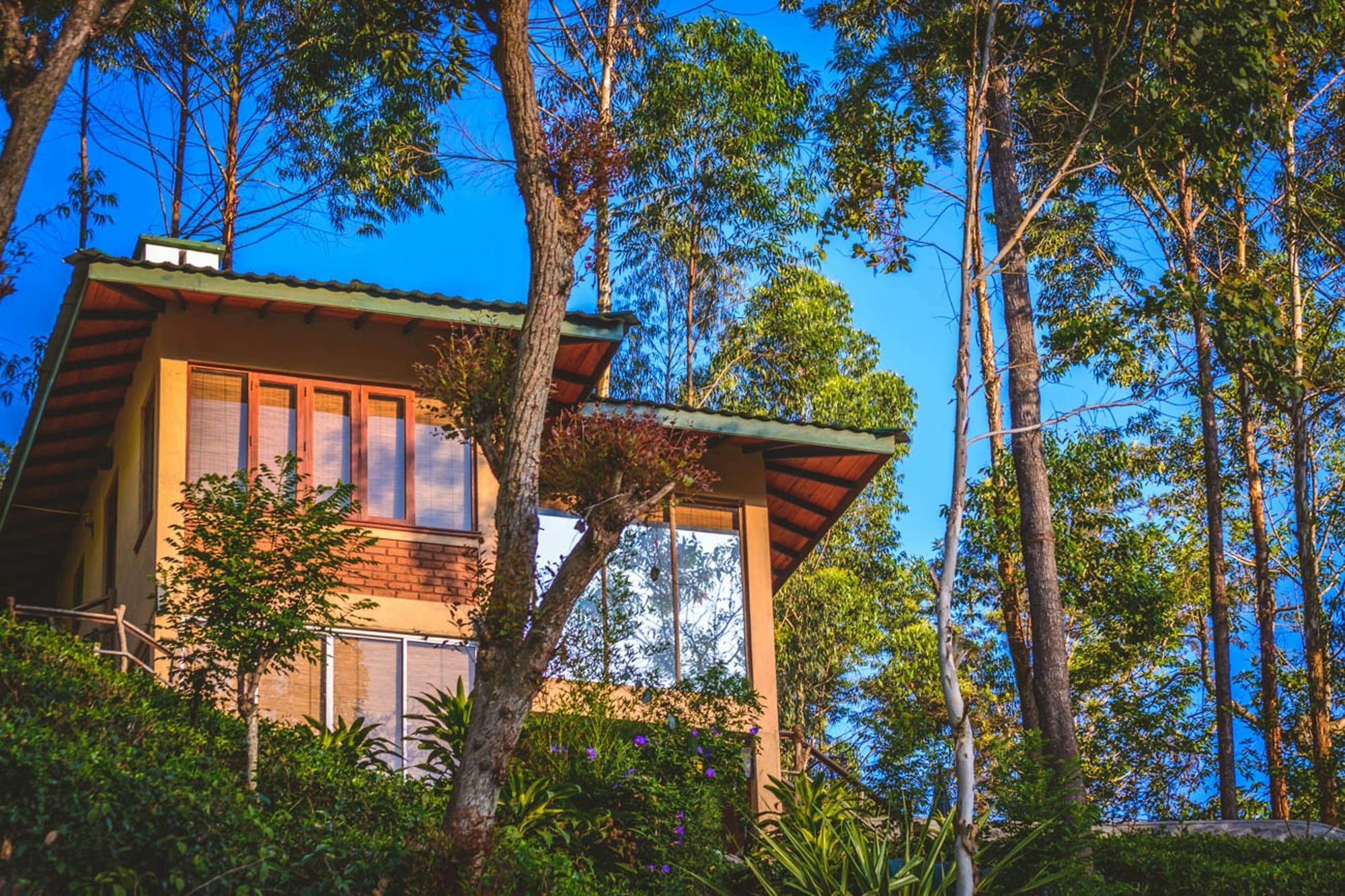 The Tea Cabaña Resort y Spa Nawalapitiya Exterior foto